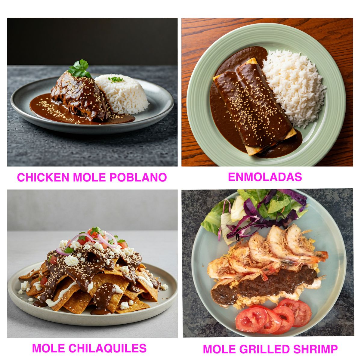 Variety Packs Gourmet Mole Poblano & Oaxacan Artisan Red Mole Sauce