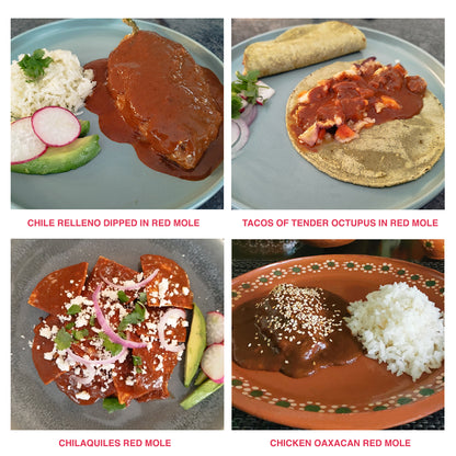 Variety Packs Gourmet Mole Poblano & Oaxacan Artisan Red Mole Sauce