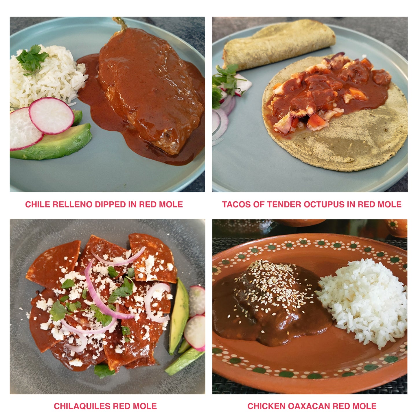Oaxacan Artisan Red Mole Sauce